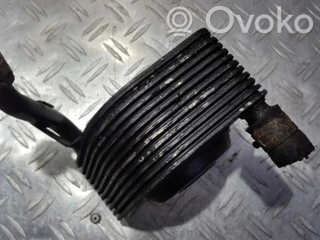 Radiator ulei motor