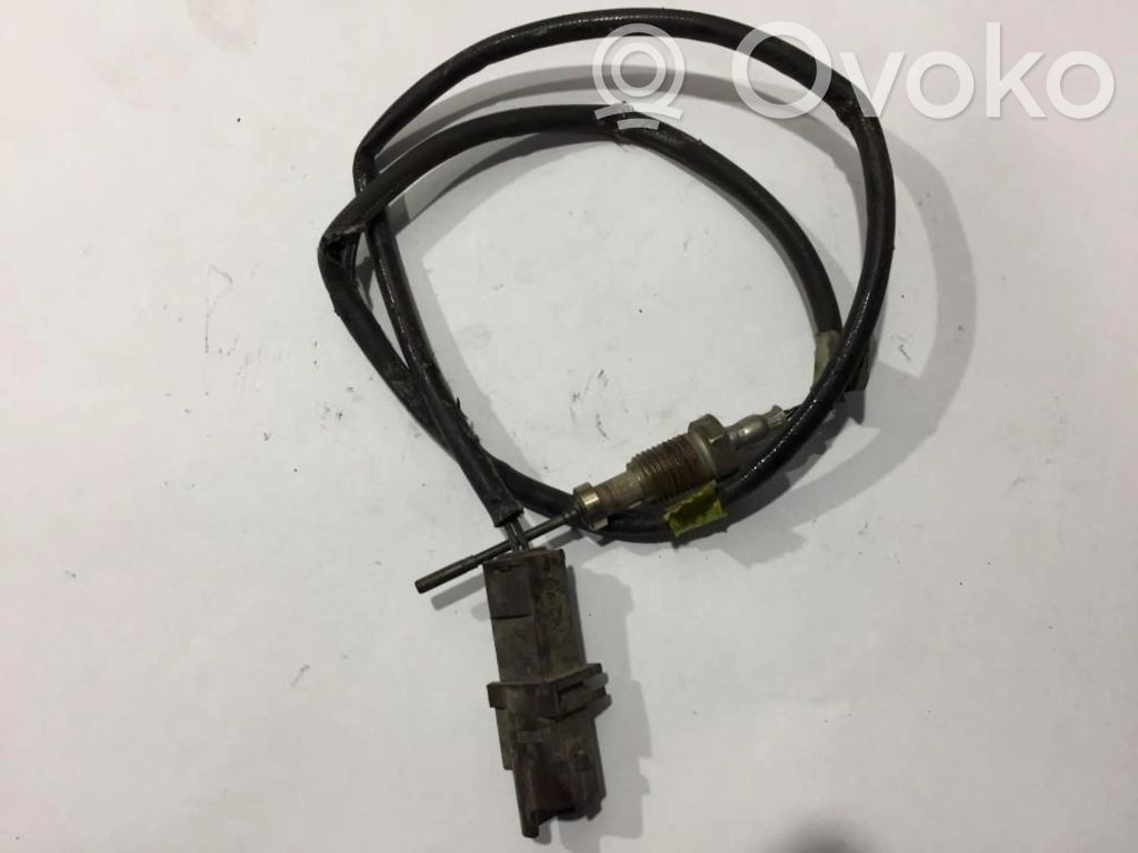 Peugeot 407 Sensore di temperatura dei gas di scarico