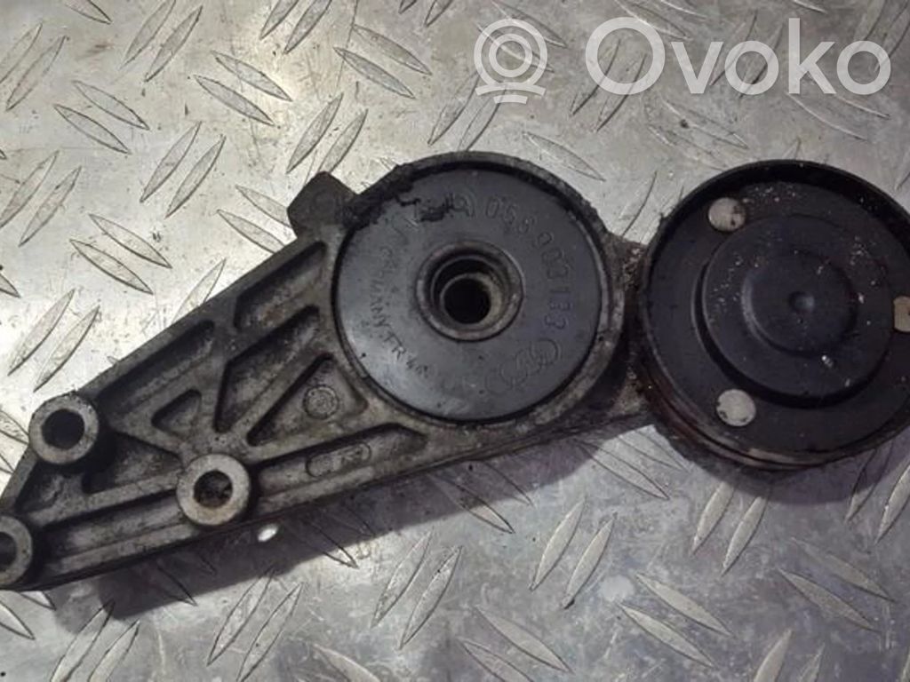 Volkswagen PASSAT B5 Tendicinghia generatore/alternatore 