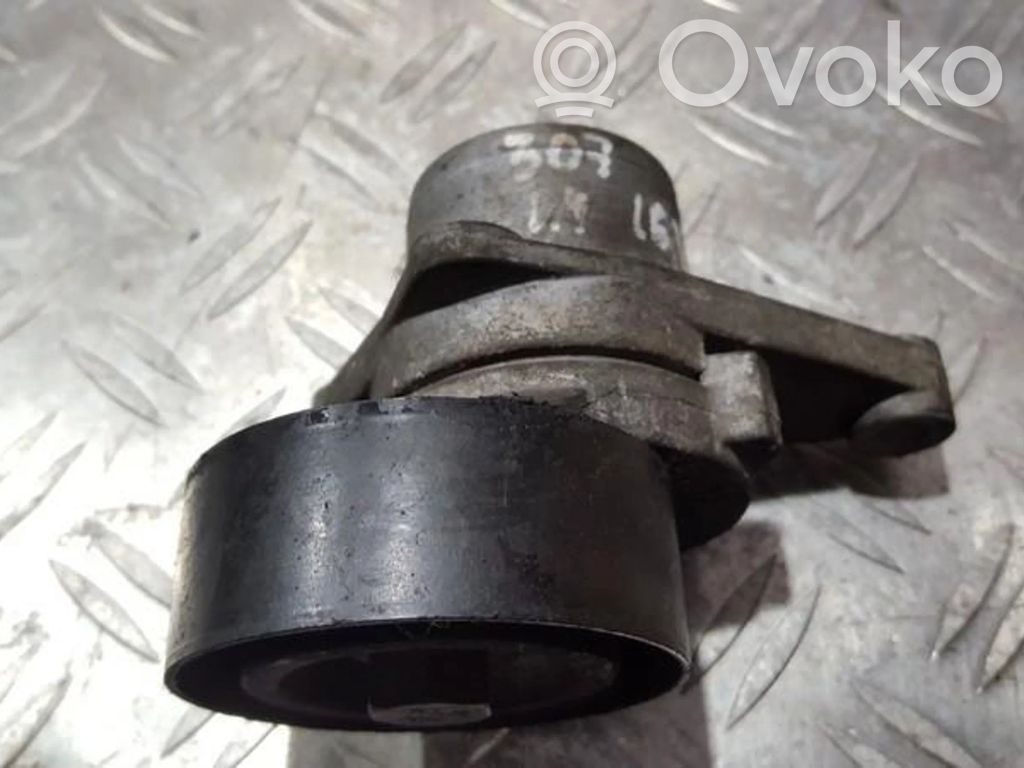 Peugeot 307 Tendicinghia generatore/alternatore 
