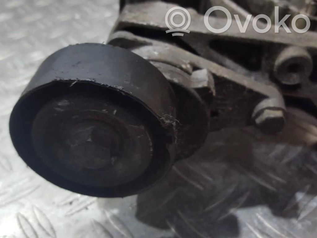 Peugeot 307 Tendicinghia generatore/alternatore 