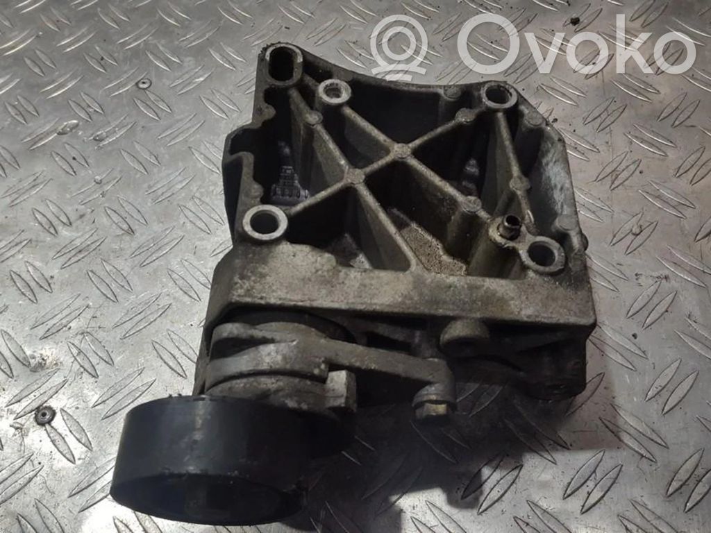 Întinzător curea generator/alternator