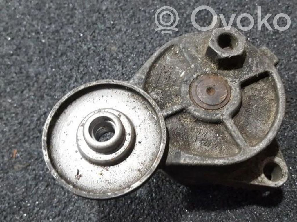 BMW 5 E39 Tendicinghia generatore/alternatore 