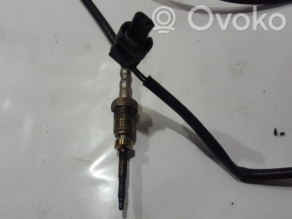 BMW 7 F01 F02 F03 F04 Sensore di temperatura dei gas di scarico 