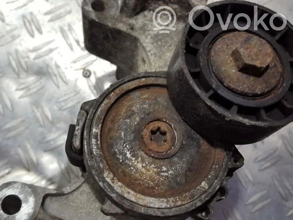 Întinzător curea generator/alternator