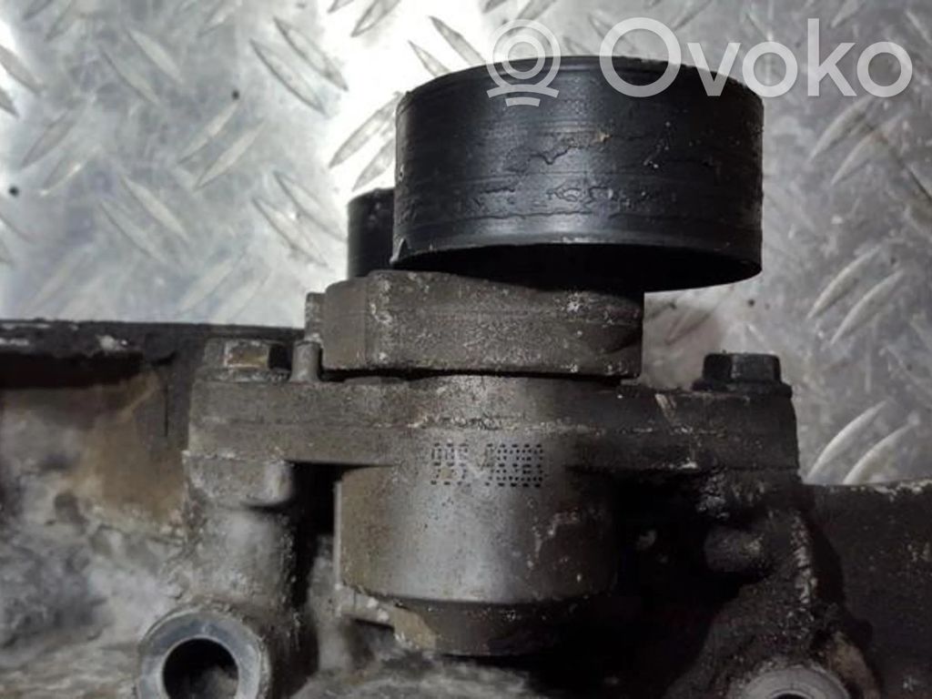 Renault Laguna I Tendicinghia generatore/alternatore 