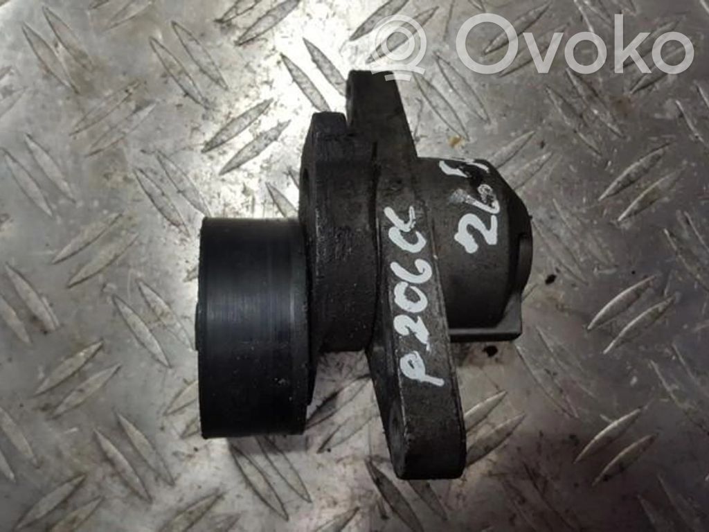 Peugeot 206 Tensor de correa del alternador 