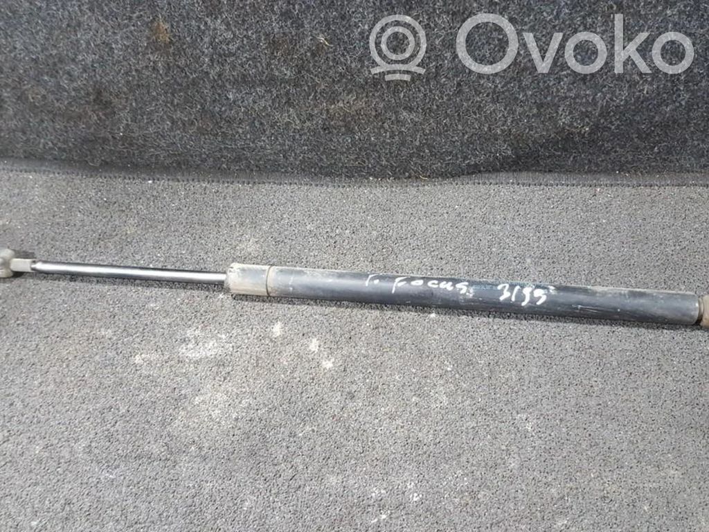 Tailgate/trunk strut/damper