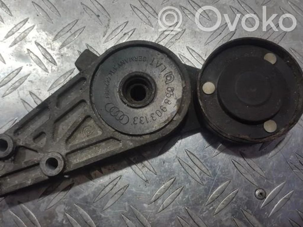 Volkswagen PASSAT B5 Tendicinghia generatore/alternatore 
