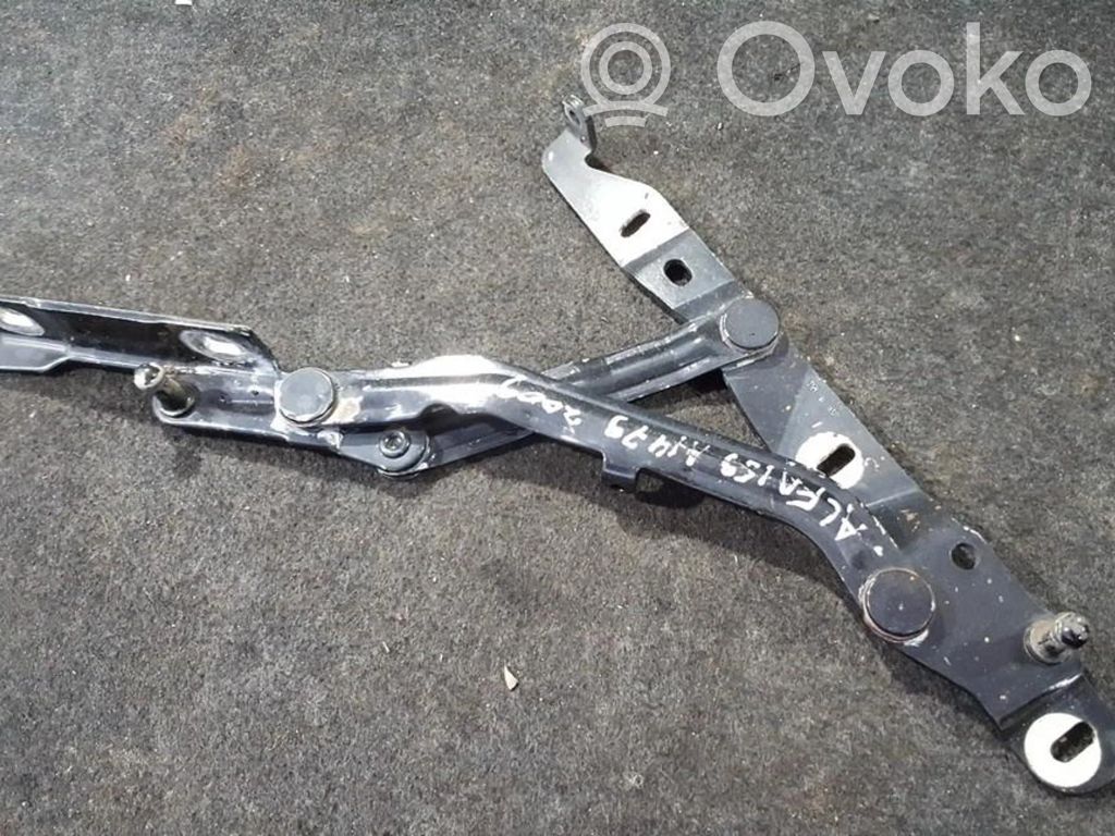 Cerniere del vano motore/cofano