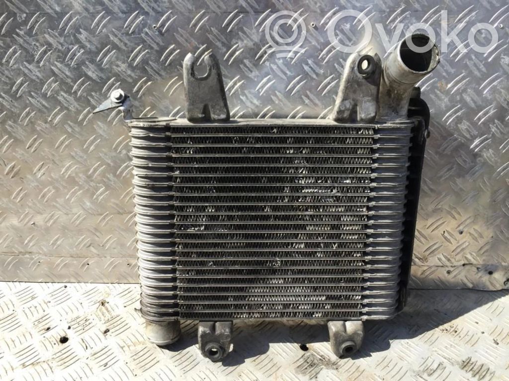 Intercooler radiator