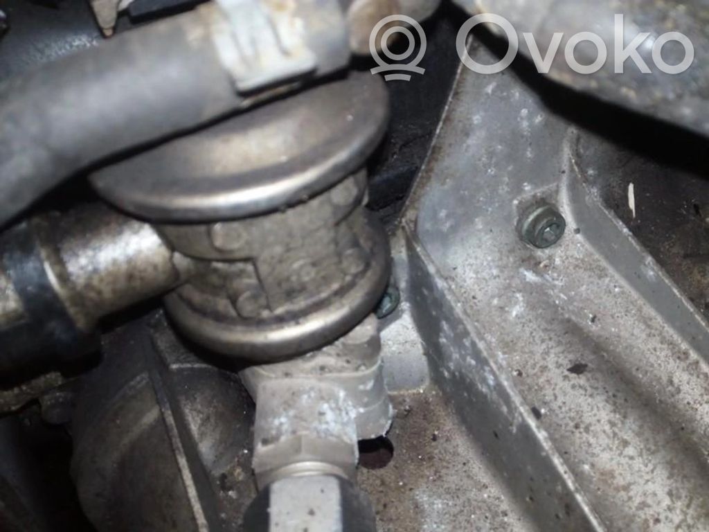 Valvola EGR   06A131351,06A131351