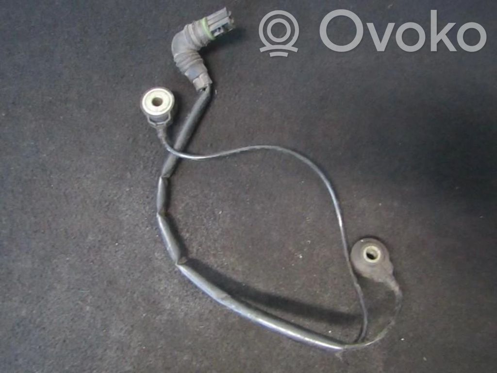 Detonation knock sensor   0261231136,1709317,0261231136,1709317