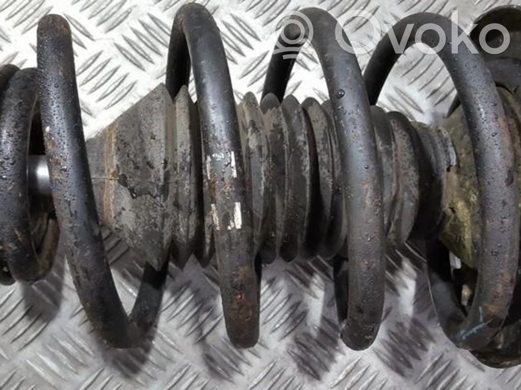 Front coil spring