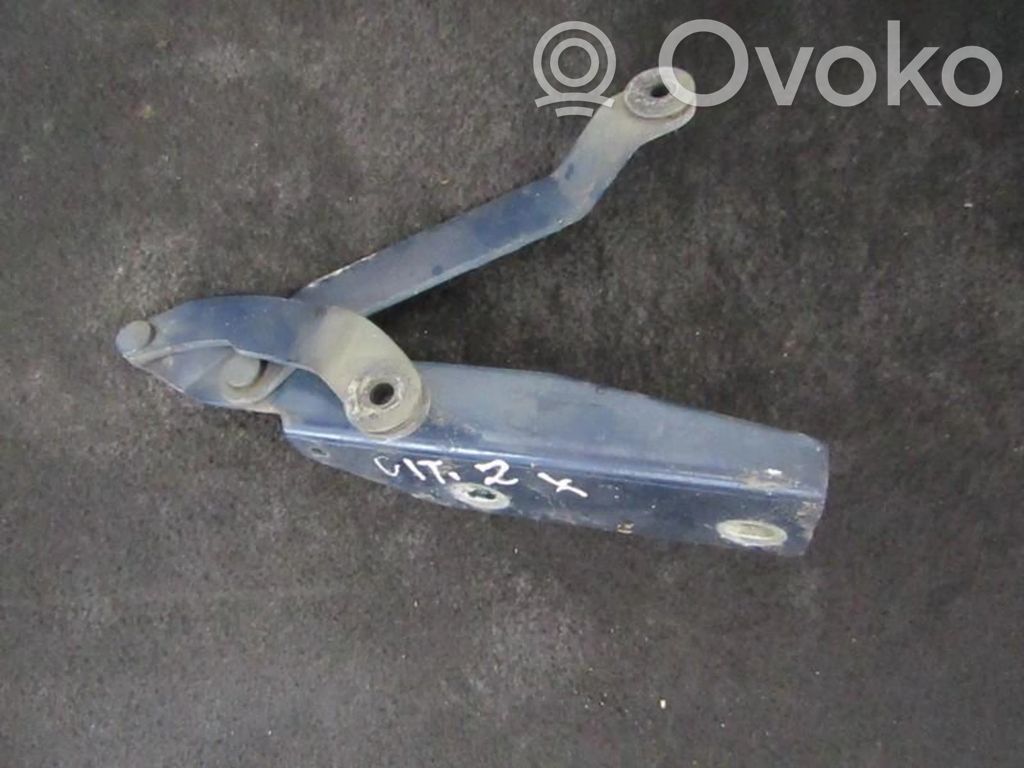 Tailgate/trunk/boot hinge