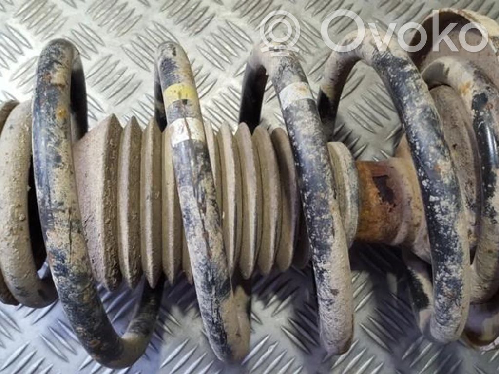 Front coil spring