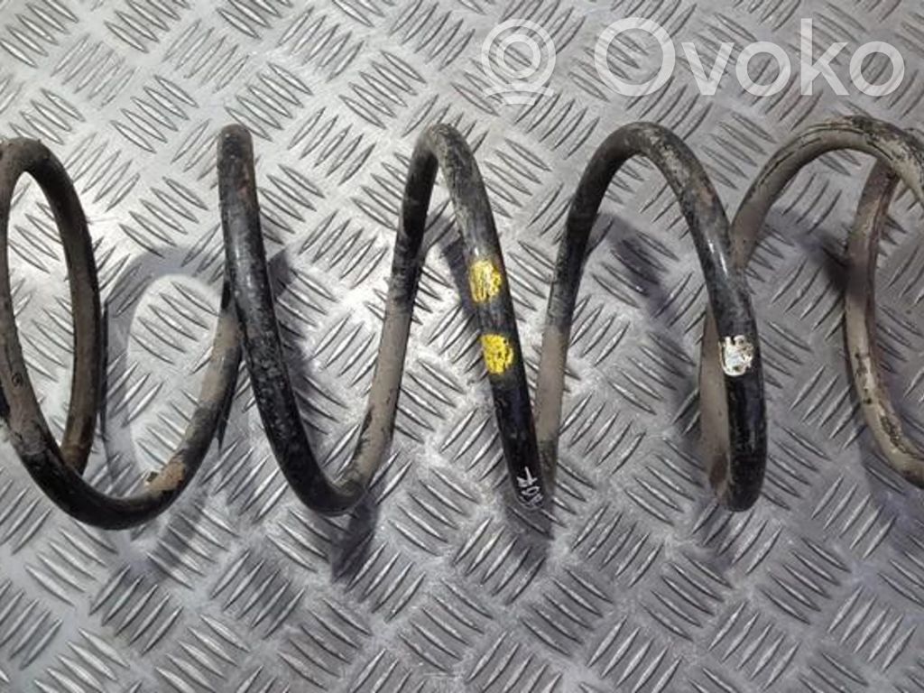 Front coil spring