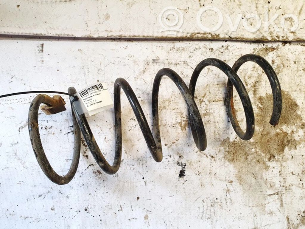 Front coil spring