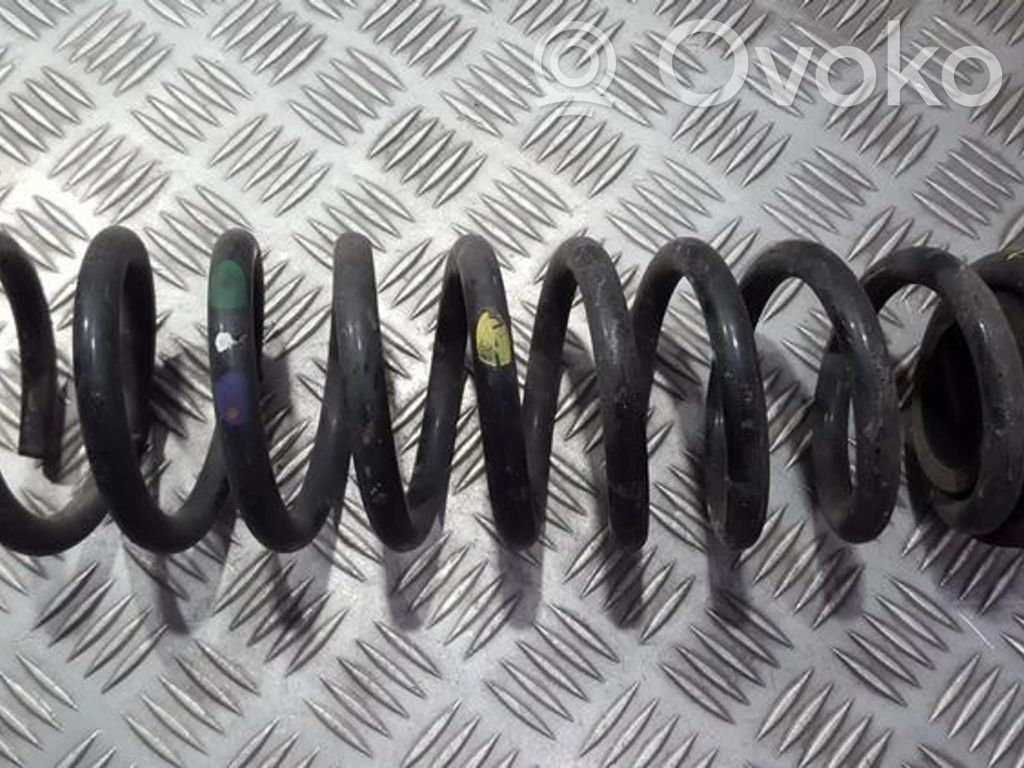 Muelle espiral trasero