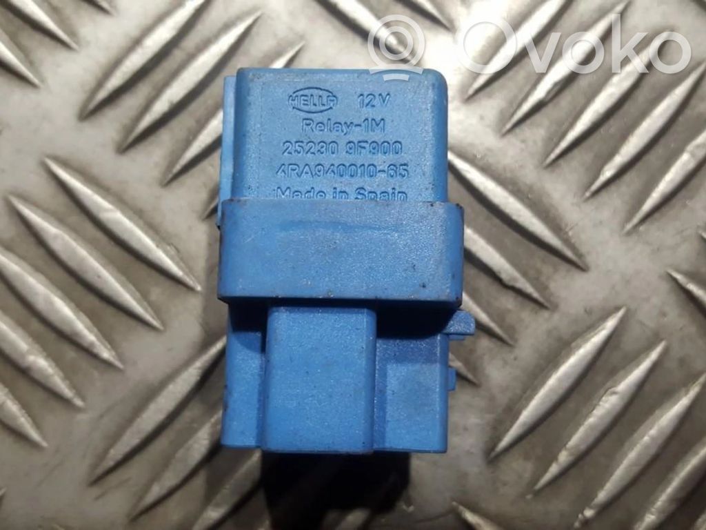 Muu rele   252309F900,4RA94001065,252309F900,4RA94001065,4RA94001065