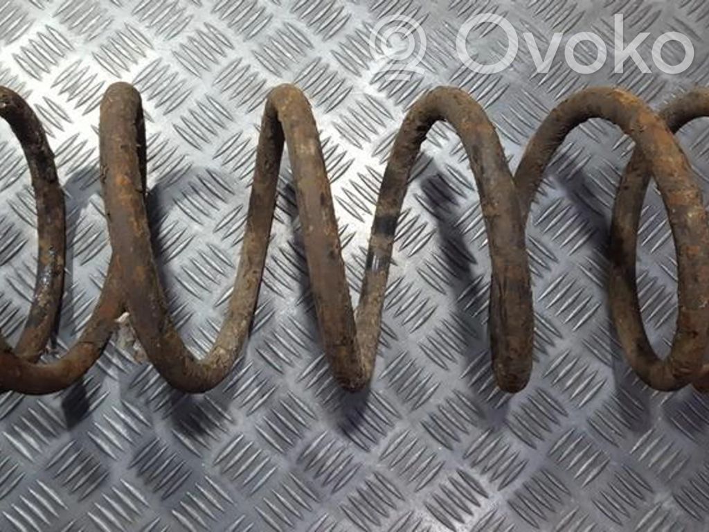 Front coil spring