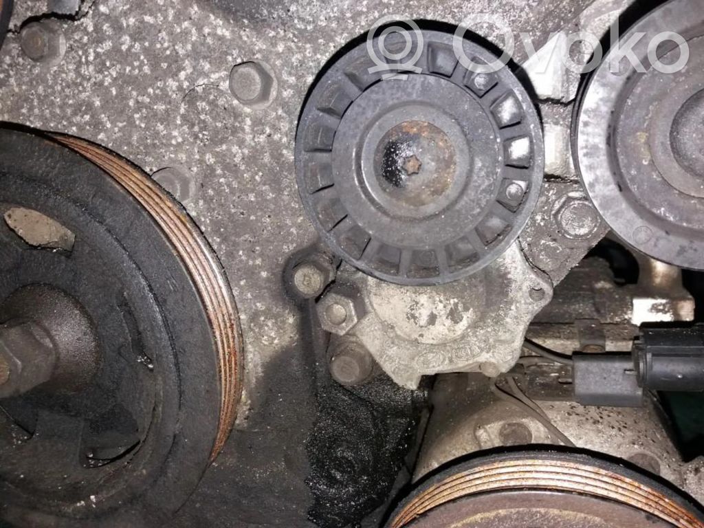 Tensor de correa del alternador   252812A000,252812A000,252812A000,252812A000