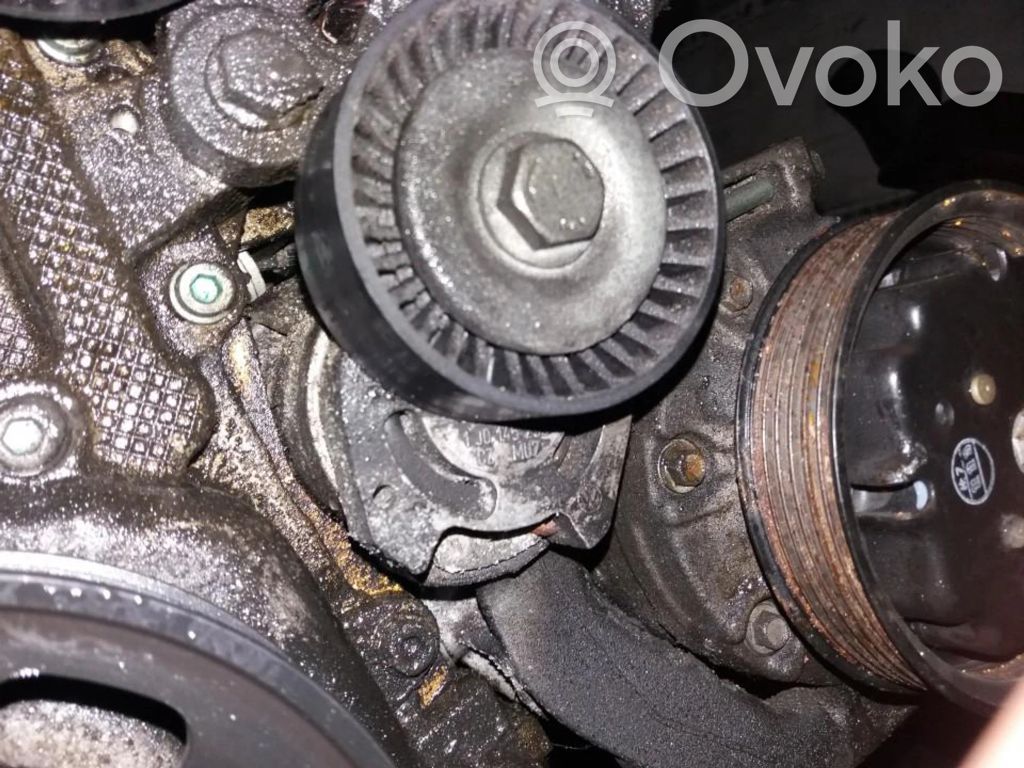 Volkswagen Golf V Întinzător curea generator/alternator