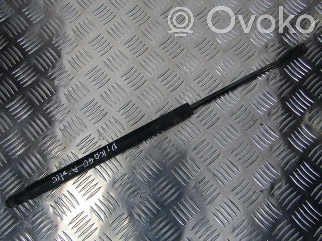 Citroen Xsara Picasso Amortiguador/puntal del maletero/compartimento de carga 