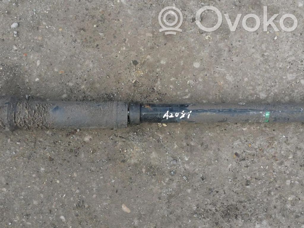 Mitsubishi Colt Amortizor spate