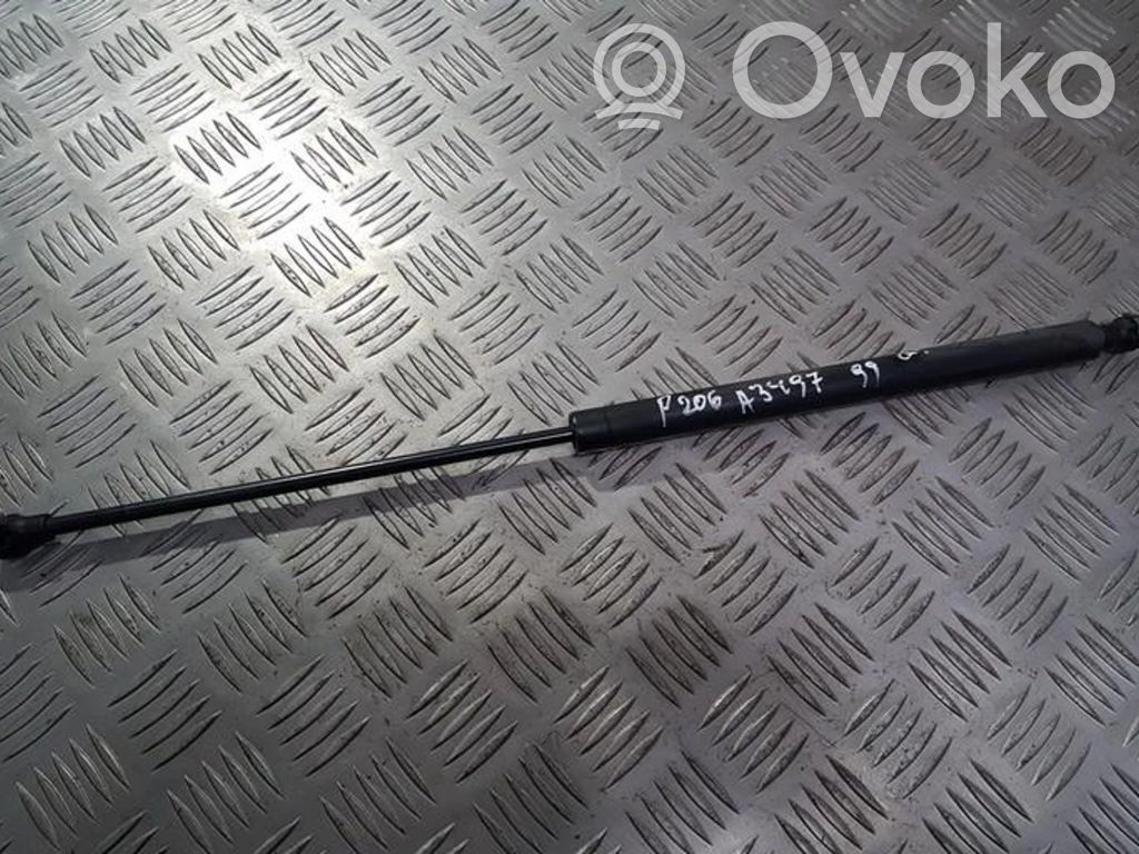 Tailgate/trunk strut/damper