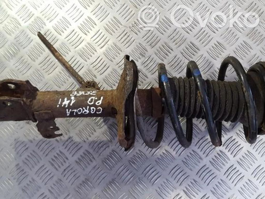 Front coil spring