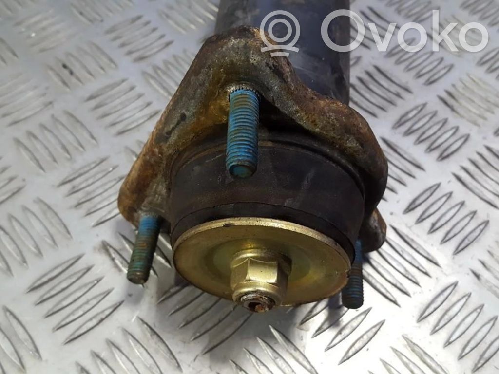 Coil spring mount