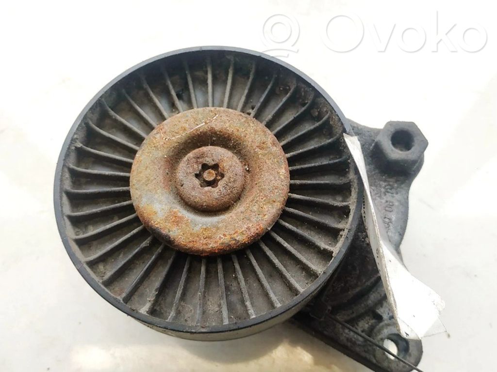 Mercedes-Benz C W203 Întinzător curea generator/alternator 