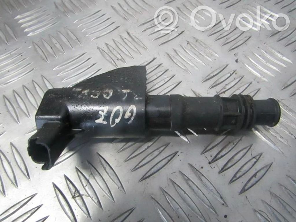 Citroen C5 Bobina di accensione ad alta tensione