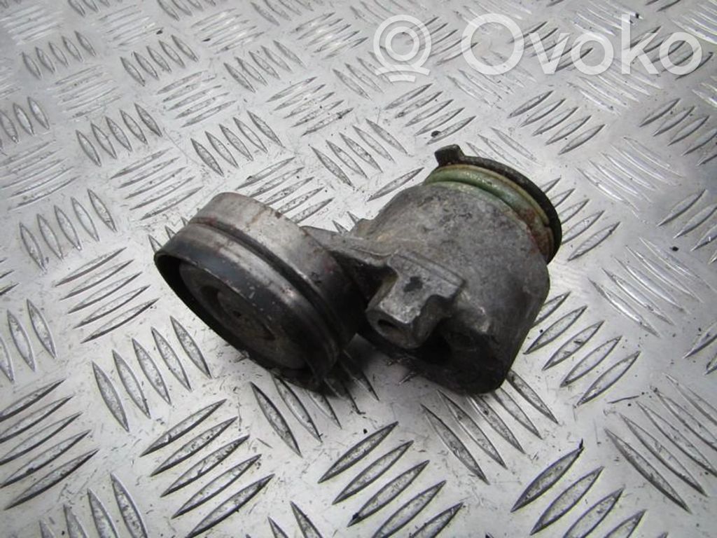 Renault Laguna II Tendicinghia generatore/alternatore 