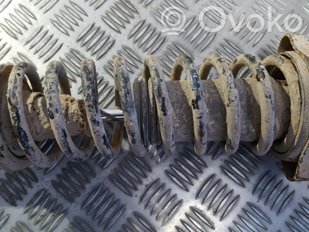 Rear coil spring