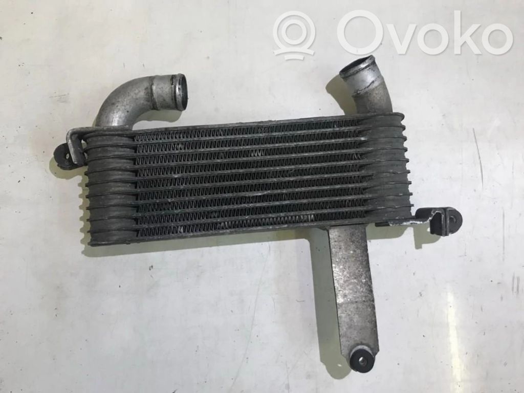 Hyundai Matrix Radiador intercooler 