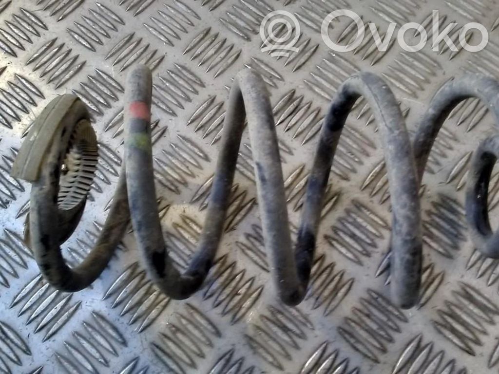Rear coil spring