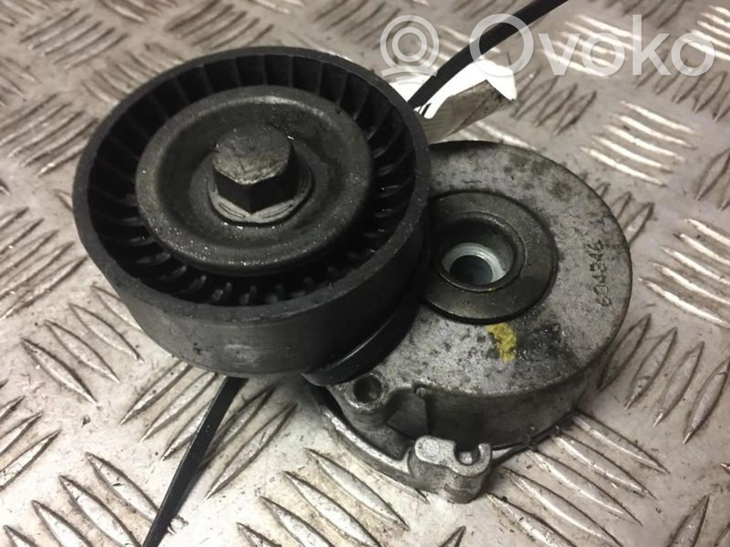 Întinzător curea generator/alternator