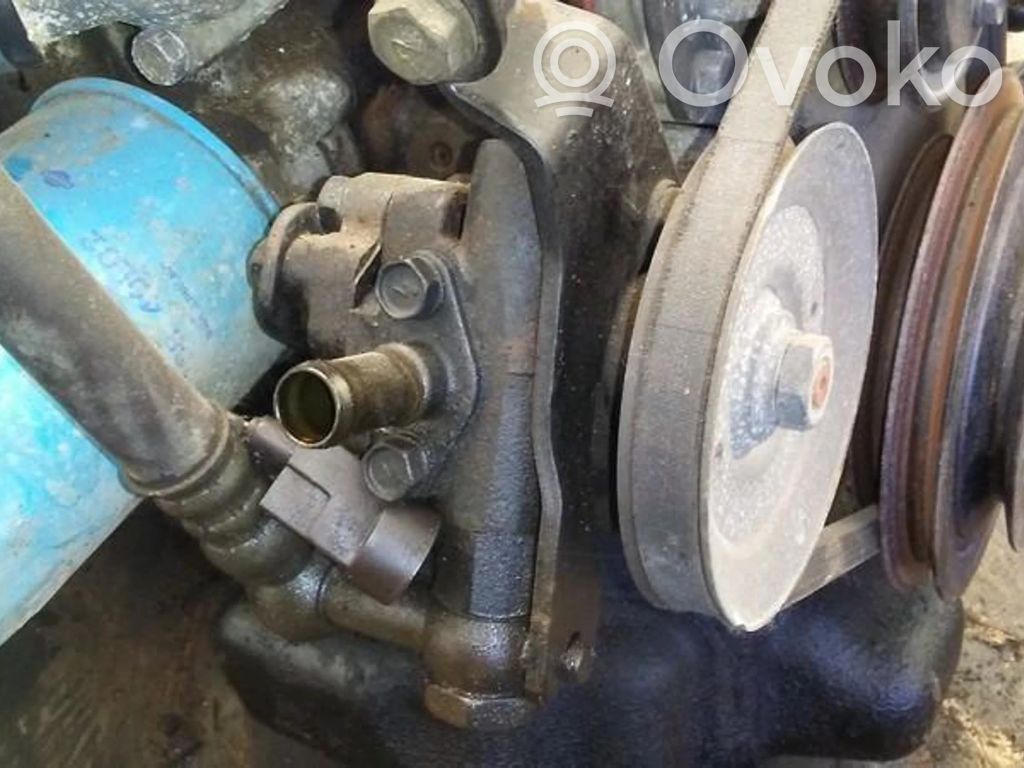 Nissan Primera Pompa servosterzo 
