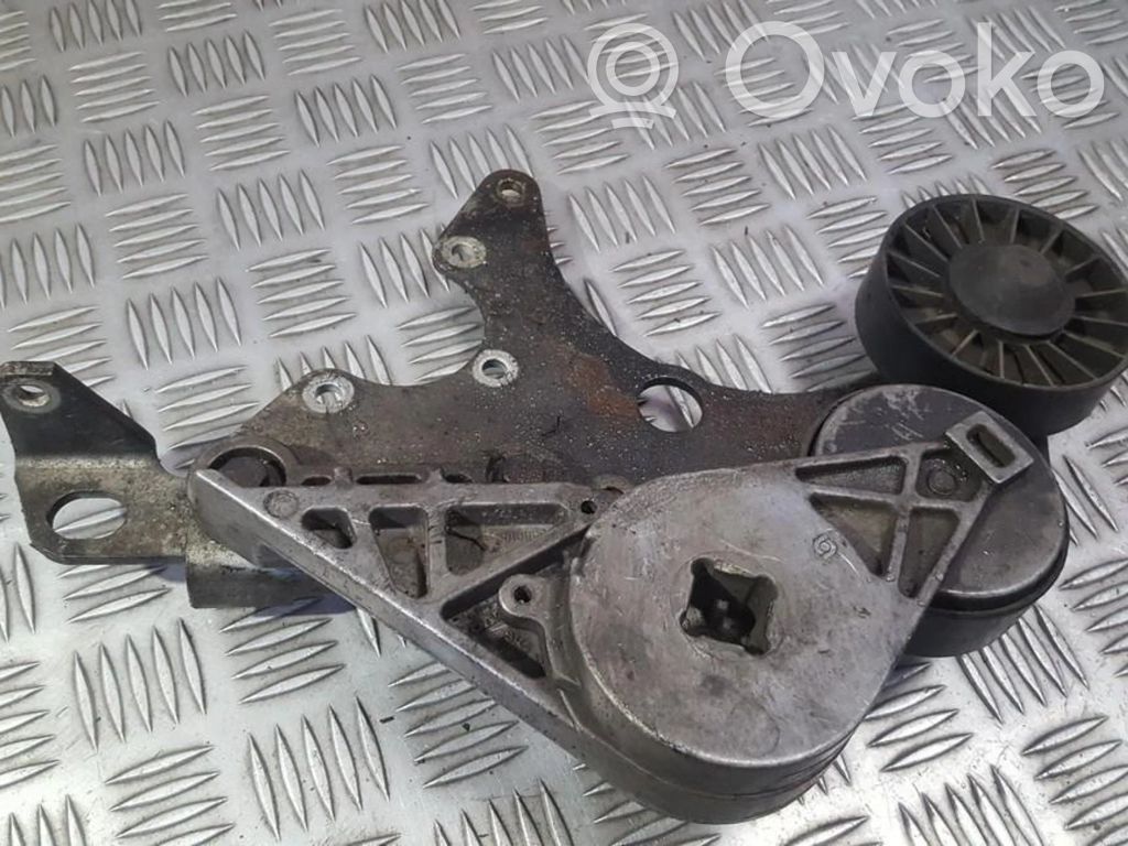 Tensor de correa del alternador   550010,550010