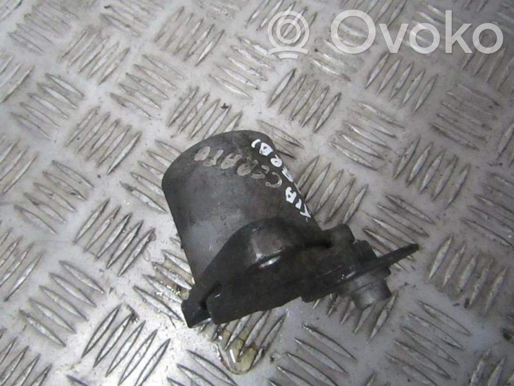 KIA Cerato Întinzător curea generator/alternator 