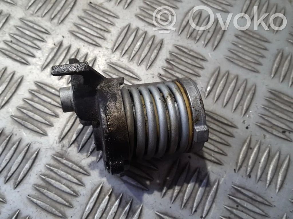 Volkswagen Polo Tendicinghia generatore/alternatore 