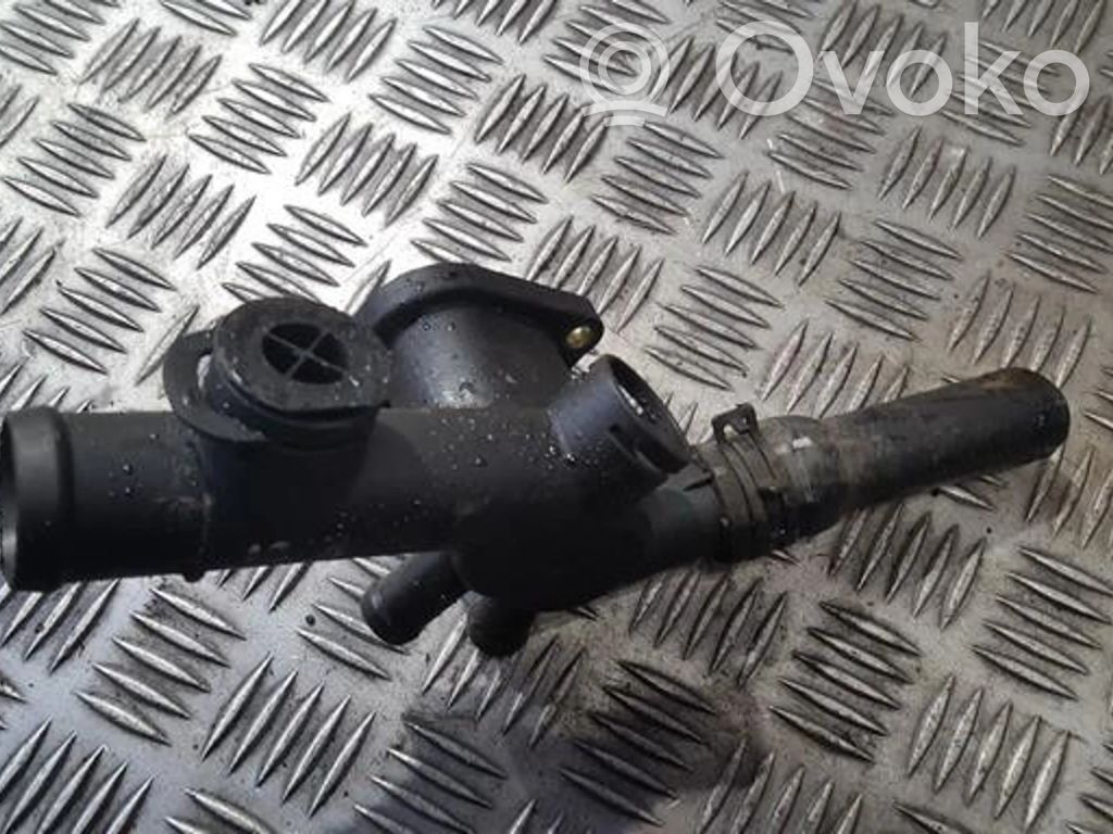 Volkswagen New Beetle Przewód / Wąż chłodnicy 