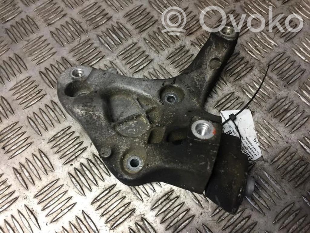 Skoda Octavia Mk2 (1Z) Întinzător curea generator/alternator 