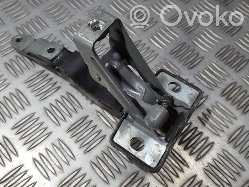 Tailgate/trunk/boot hinge