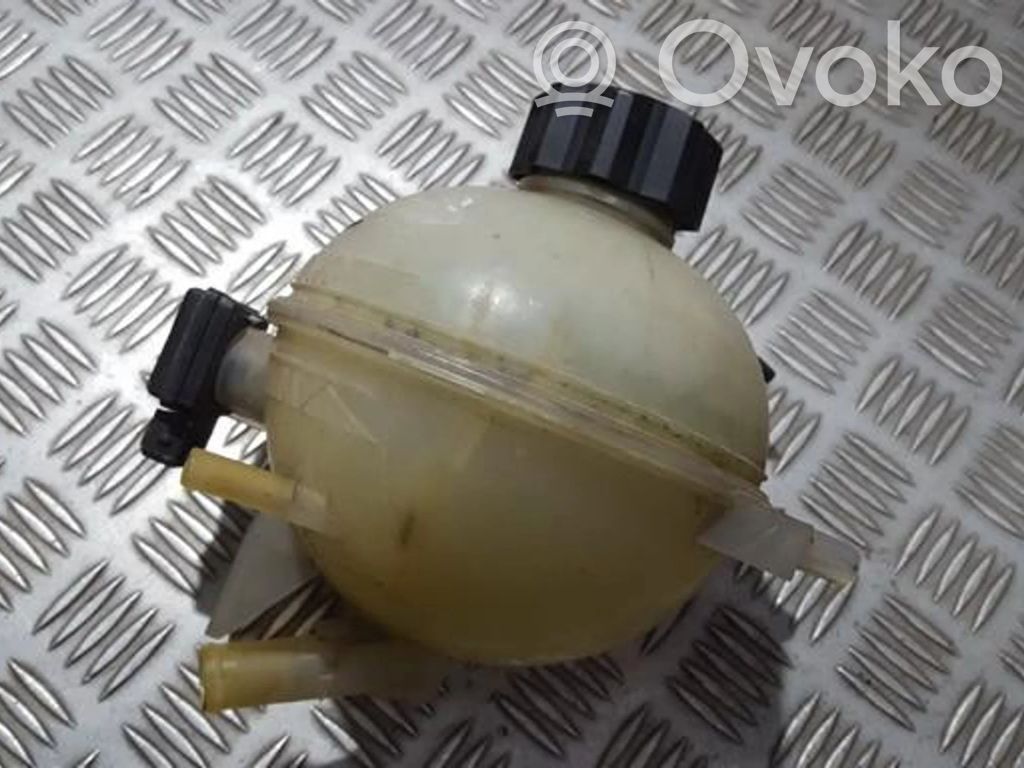 Peugeot 206 Vas expansiune/rezervor lichid de răcire