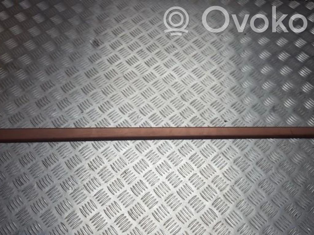 Audi A4 S4 B6 8E 8H Rivestimento della portiera anteriore (modanatura)