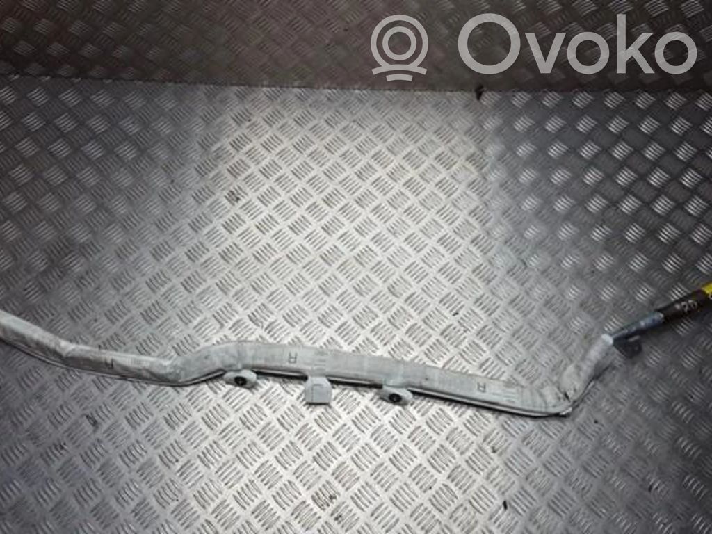 Airbag del techo   8P3880742,8P3880742