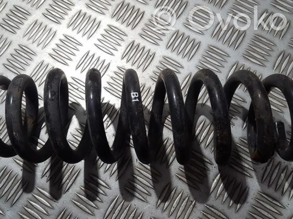 Rear coil spring